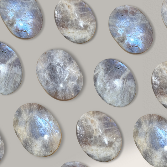 Blue Moonstone Palm
