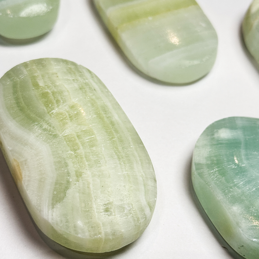 Caribbean Calcite Palm