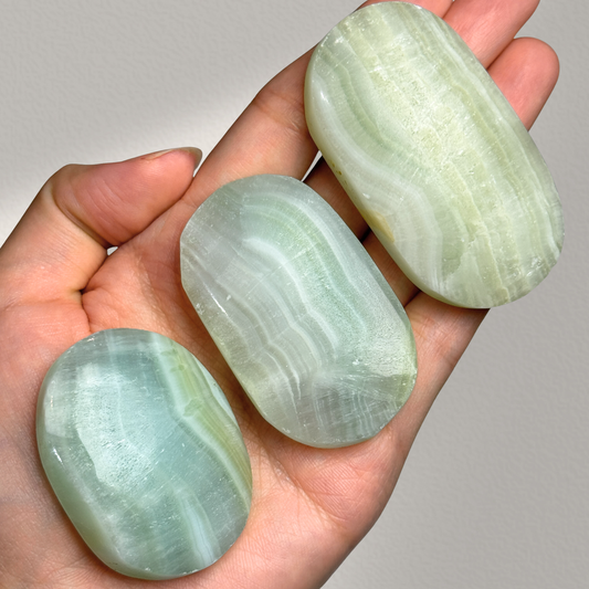 Caribbean Calcite Palm