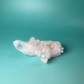 Clear Quartz Cluster (C)