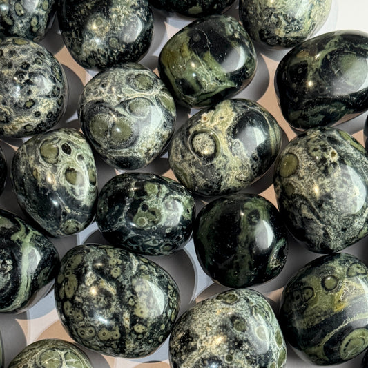 Kambaba Jasper Tumble