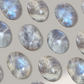 Blue Moonstone Palm