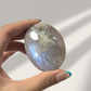 Blue Moonstone Palm