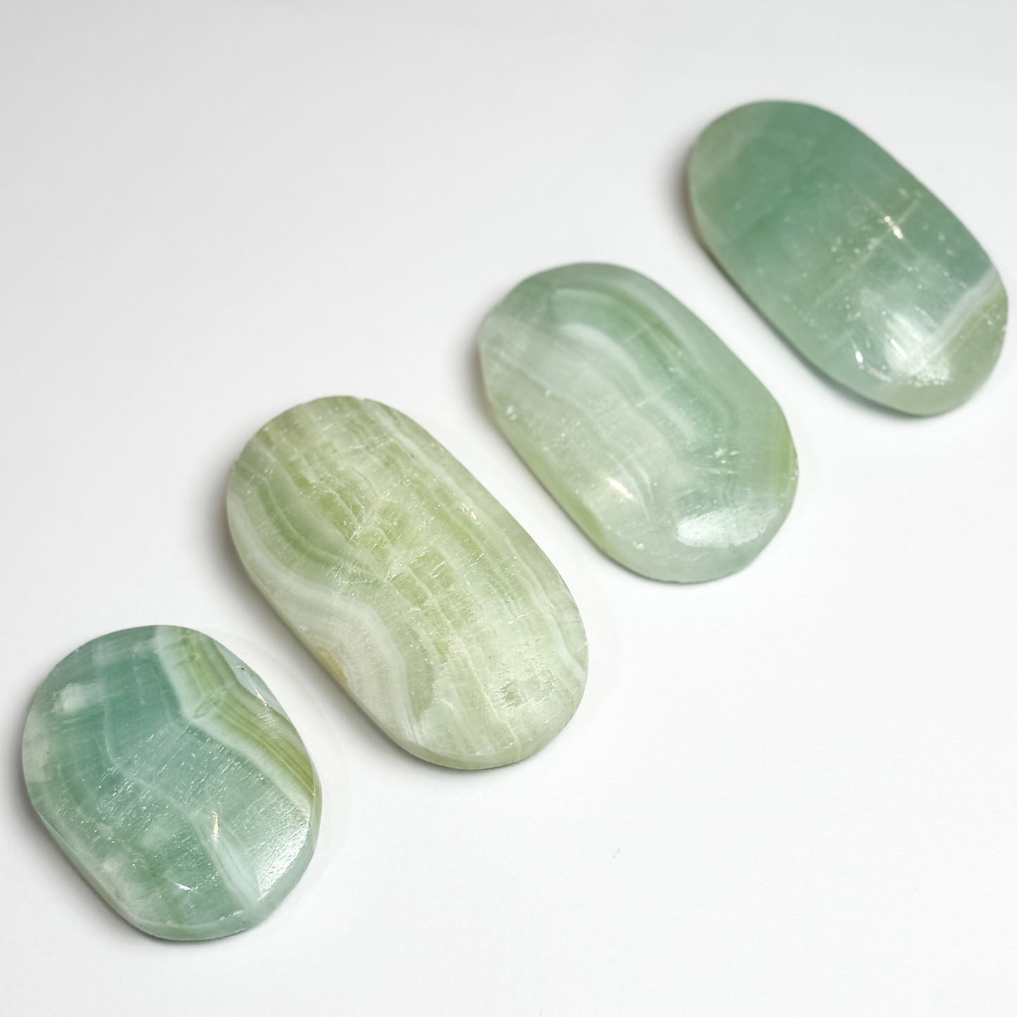 Caribbean Calcite Palm